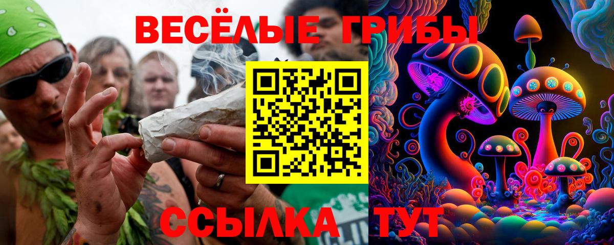Галлюциногенные грибы Psilocybine cubensis Нерюнгри