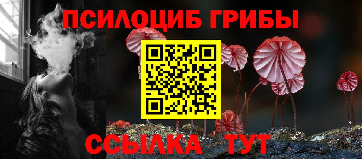 Нерюнгри  Псилоцибиновые грибы ЛСД  Вход с VPN  как найти наркотики  Псилоцибиновые грибы GOLDEN TEACHER 
